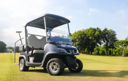 TARA Harmony Electric Golf Cart: A Blend of Luxury and Functionality