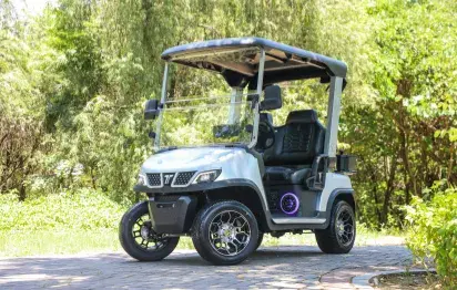 How to Choose the Right Electric Golf Cart