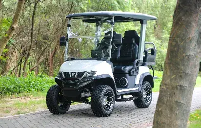 Tara Explorer 2+2: Redefining Electric Golf Carts