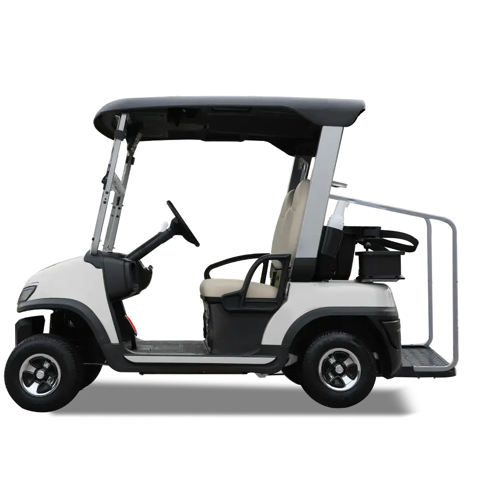 TARA Harmony 2-passenger electric golf cart