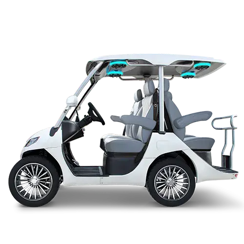 TARA T3 2+2 electric golf cart