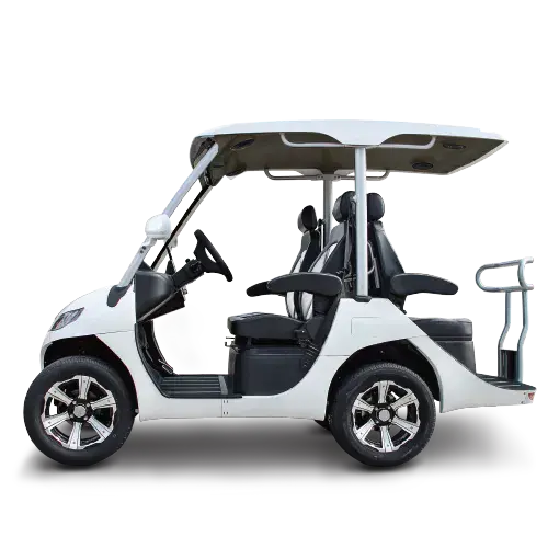 TARA T3 2+2 electric golf cart