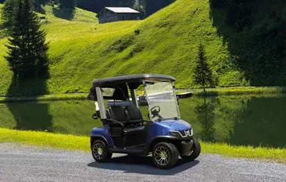 What are the components of an electric golf cart?