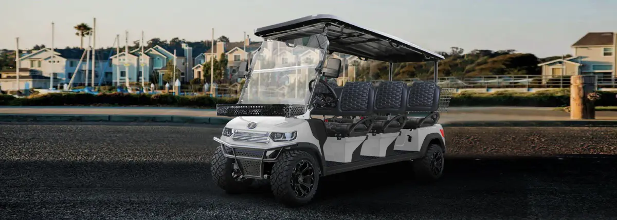 TARA golf cart for golf clubs