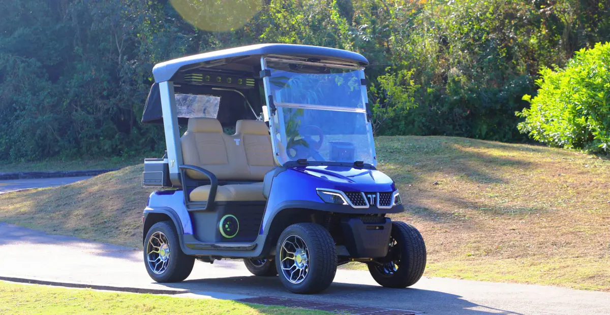 TARA Golf Cart Dealership as Running Buggy Alternative