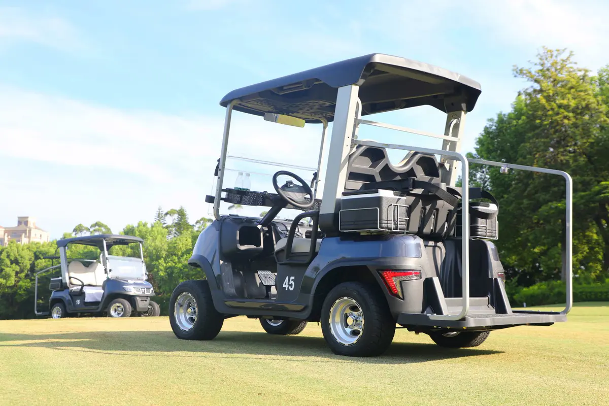 Custom TARA electric golf cart configuration for a resort client
