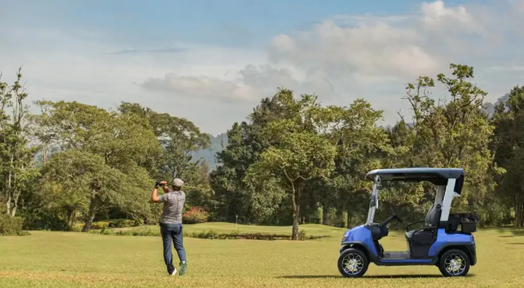 TARA electric golf cart on a leisure ride through green surroundings