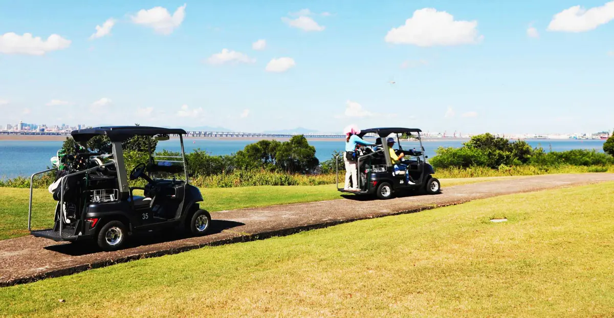 TARA electric golf cart