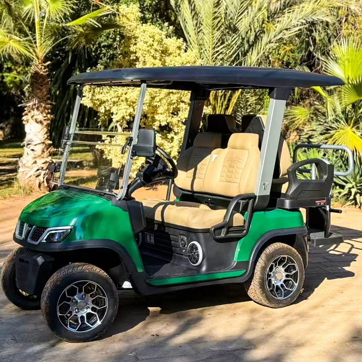 tara golf cart customer case picture