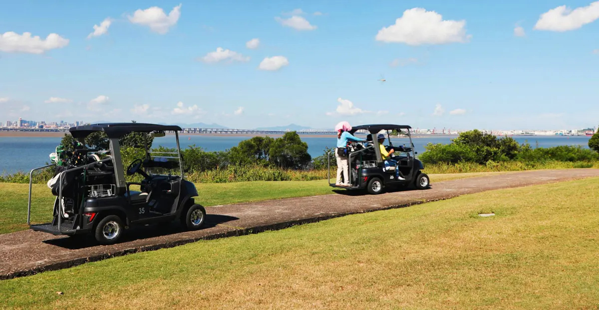 Modern Micro-Travel Needs: TARA Golf Cart Dealership