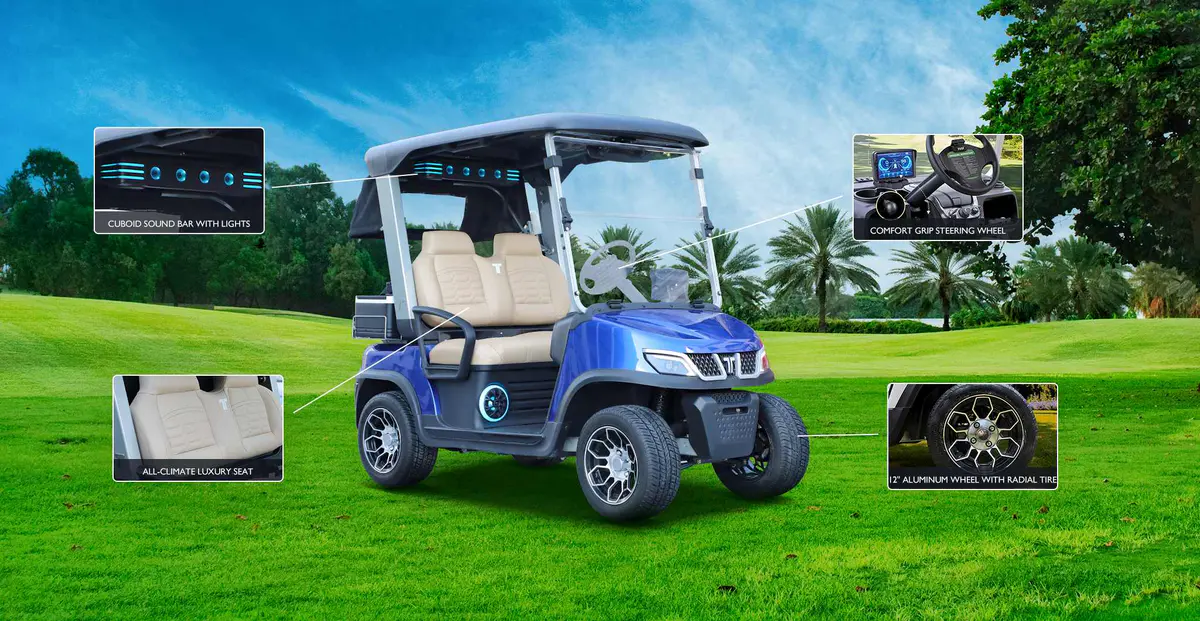 Cheap golf car electric