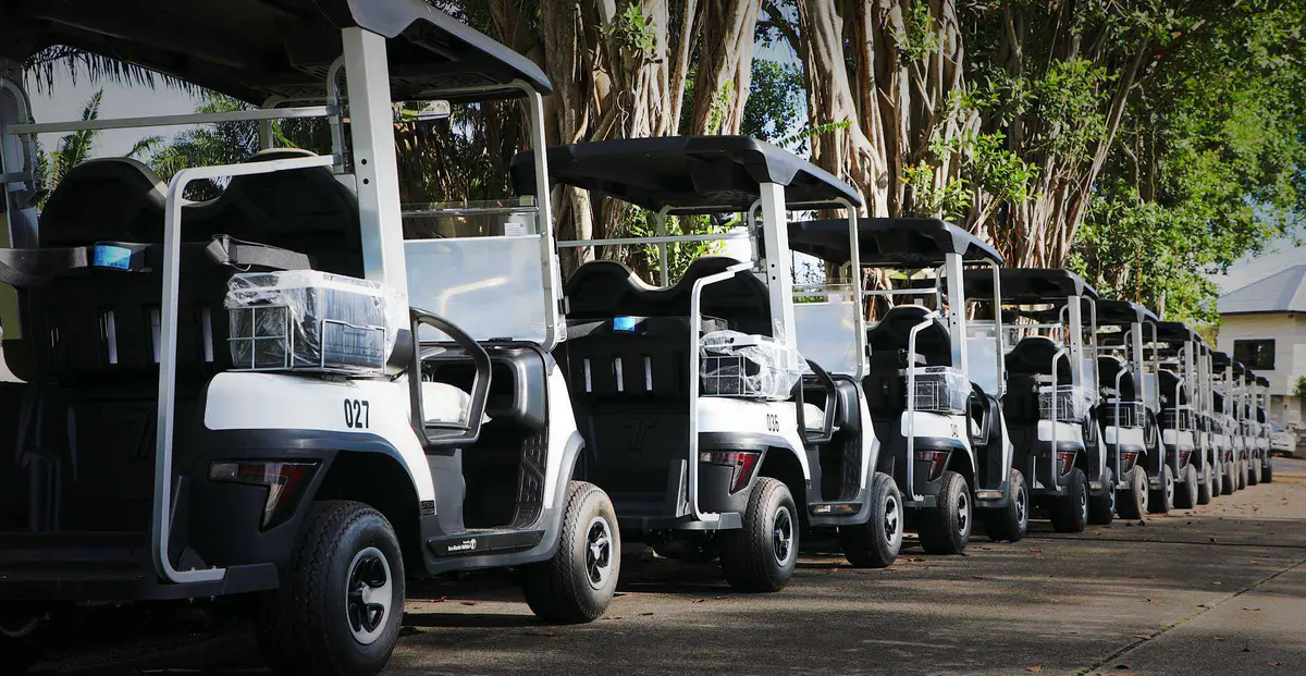 Fleet golf cars electric golf cart fleet