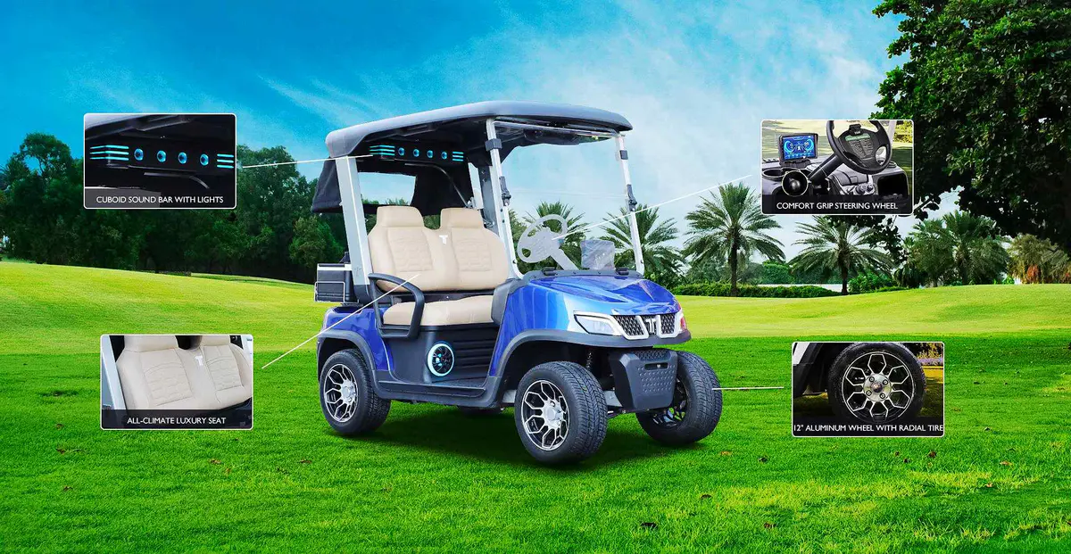 2 people golf cart