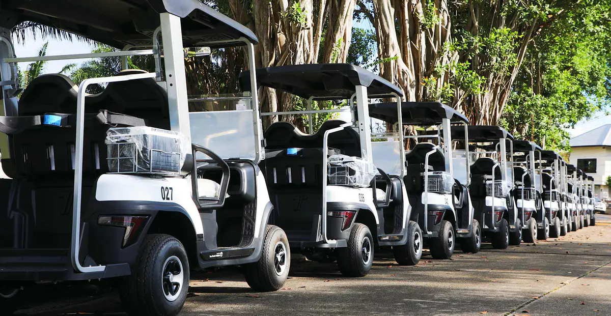 TARA Golf Cart Dealership Arriving for Delivery and Inspection