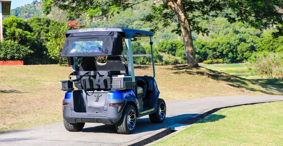 tara fleet golf cart