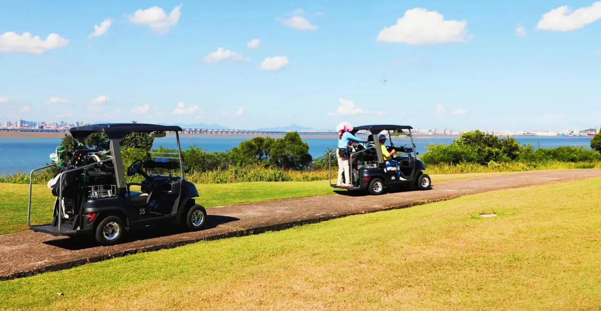 Tara Gas Powered Golf Cart on Course