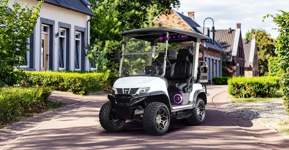 NEV golf cart neighborhood electric vehicle