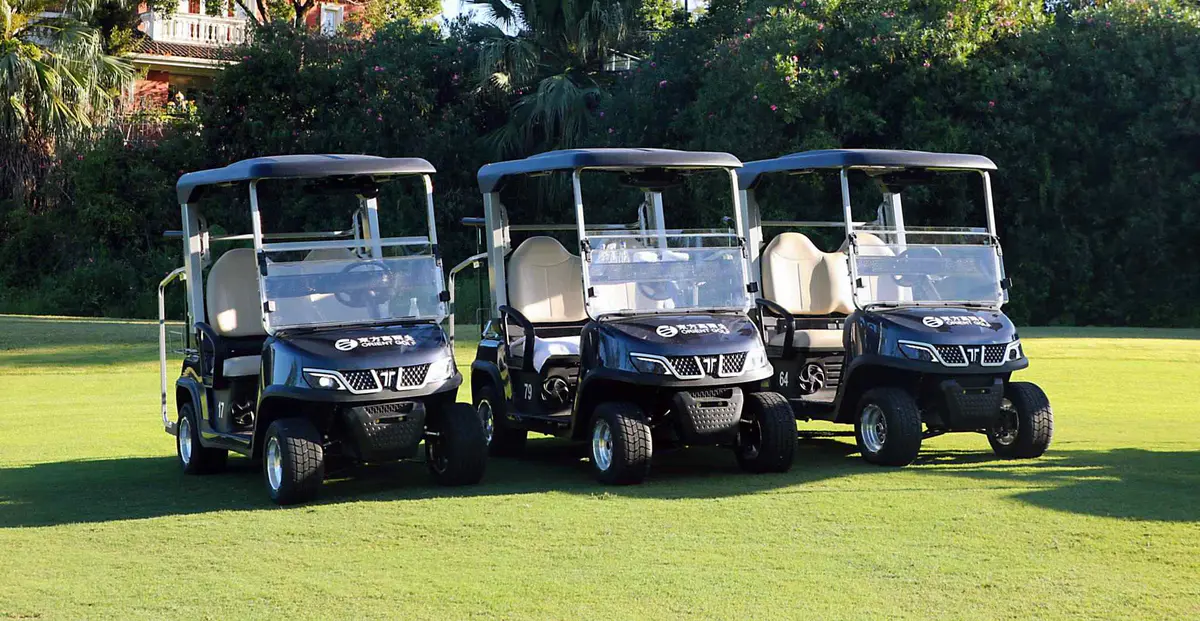 2 passenger golf carts electric fleet