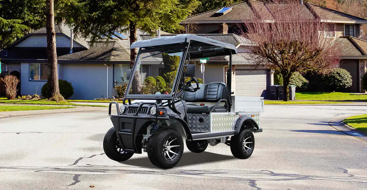 Tara Off Road UTV Electric Utility Vehicle