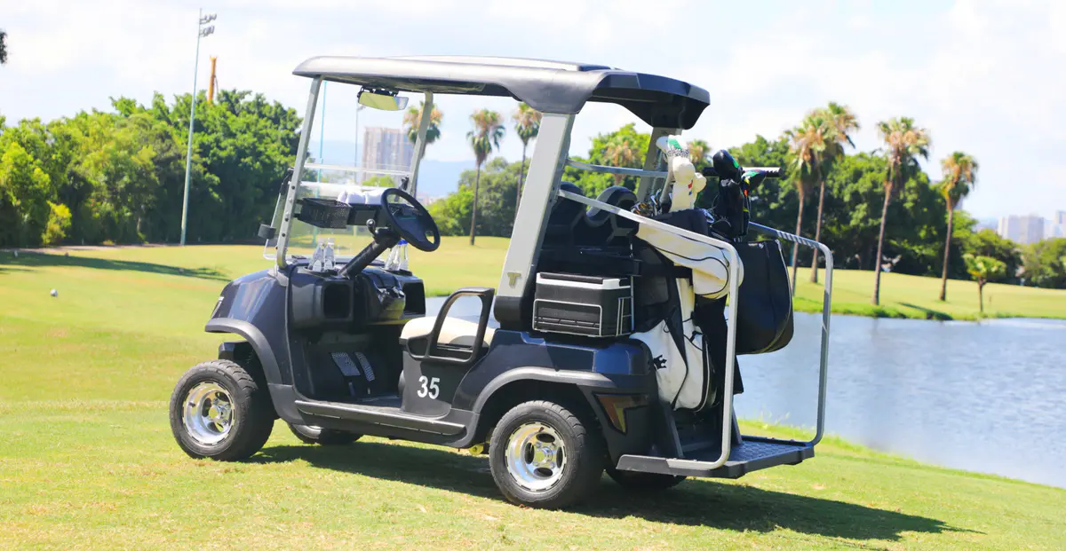 Tara Harmony Golf Cart Driving on a Lush Golf Course