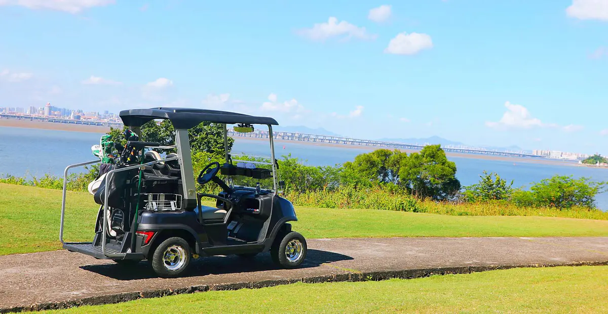 Tara 2 Person Personal Golf Cart