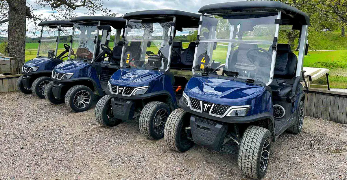 TARA 2 seat golf cart