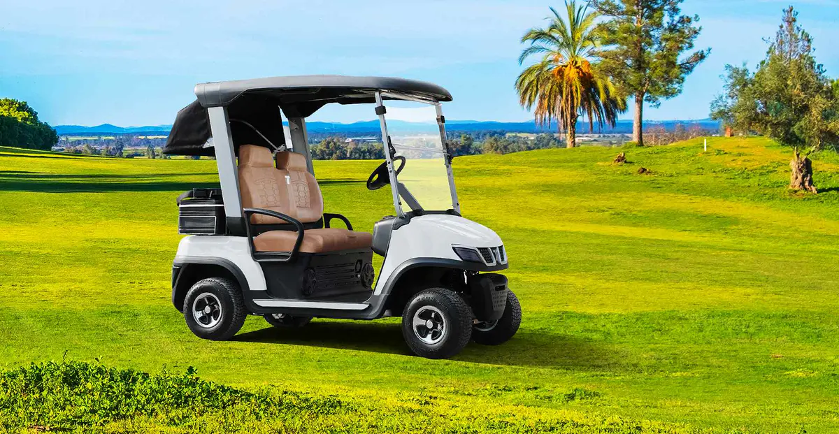 TARA Golf Cart Dealership Equipped with AC Motor System