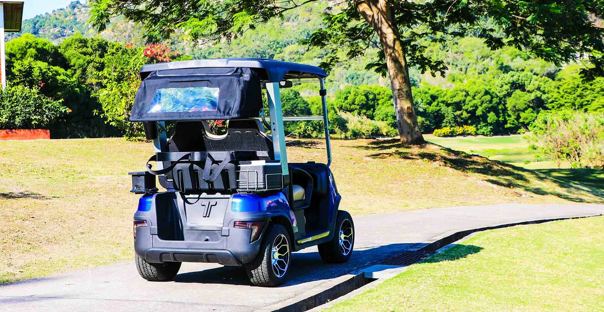 TARA the golf cart company manufacturing factory