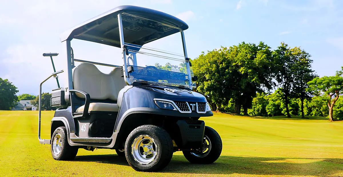 TARA Golf Cart Dealership Service – Professional Maintenance and Inspection