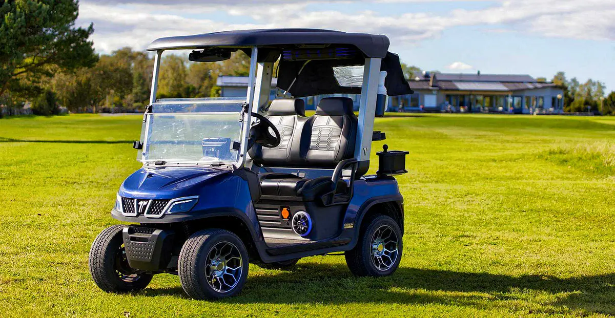 Fleet golf cart dealer TARA golf cart