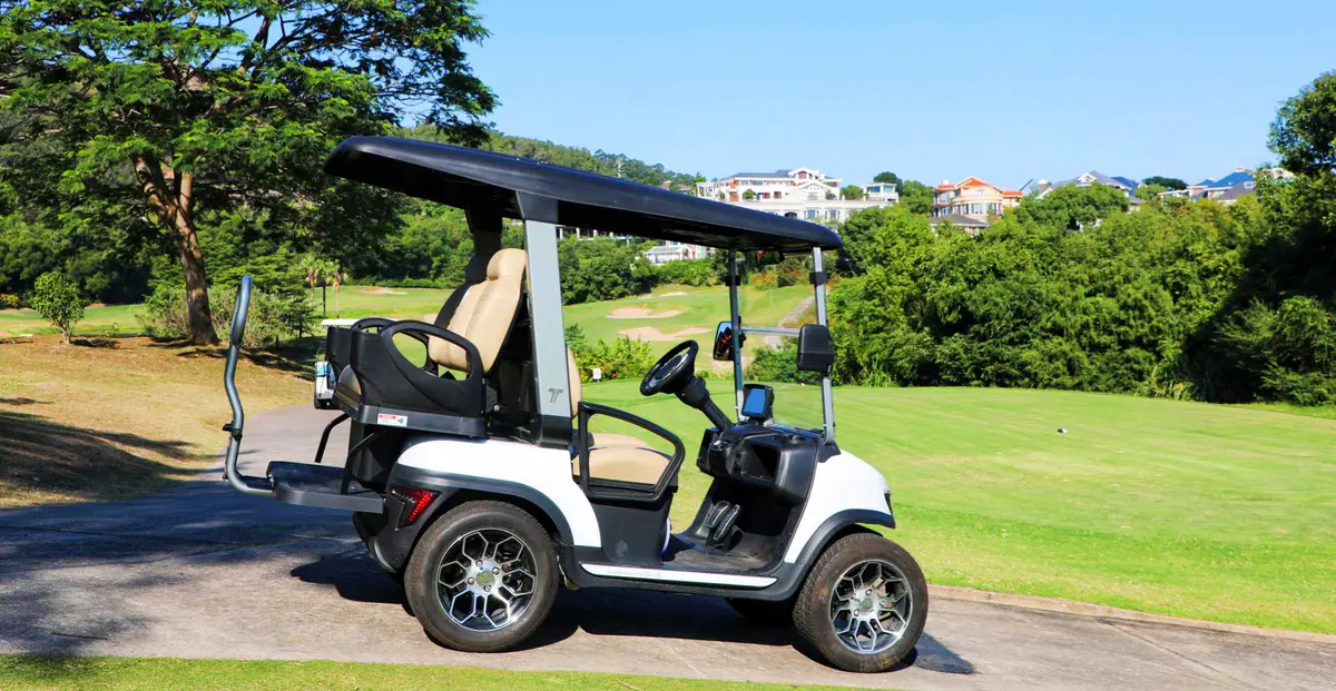TARA lithium 4 person golf cart fleet