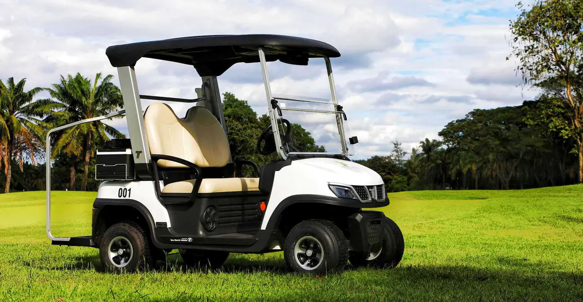 Lithium 2 seater electric golf cart golf club use