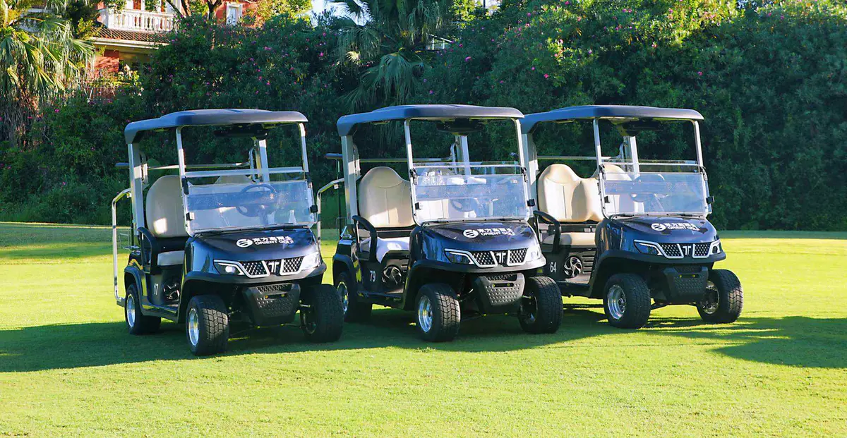 Electric golf cart local sales