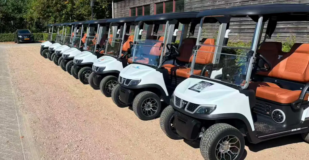 Golf buggy manufacturer electric golf carts