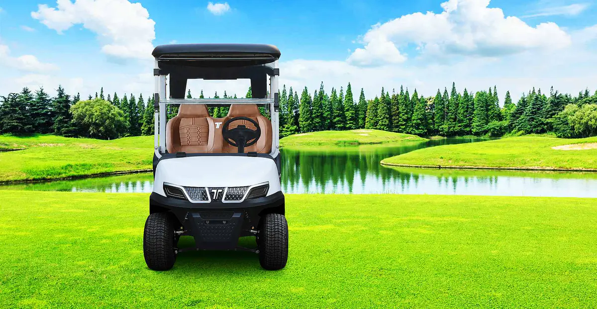 TARA Golf Cart Dealership for Rent – Electric Vehicles for Resorts and Seaside Communities