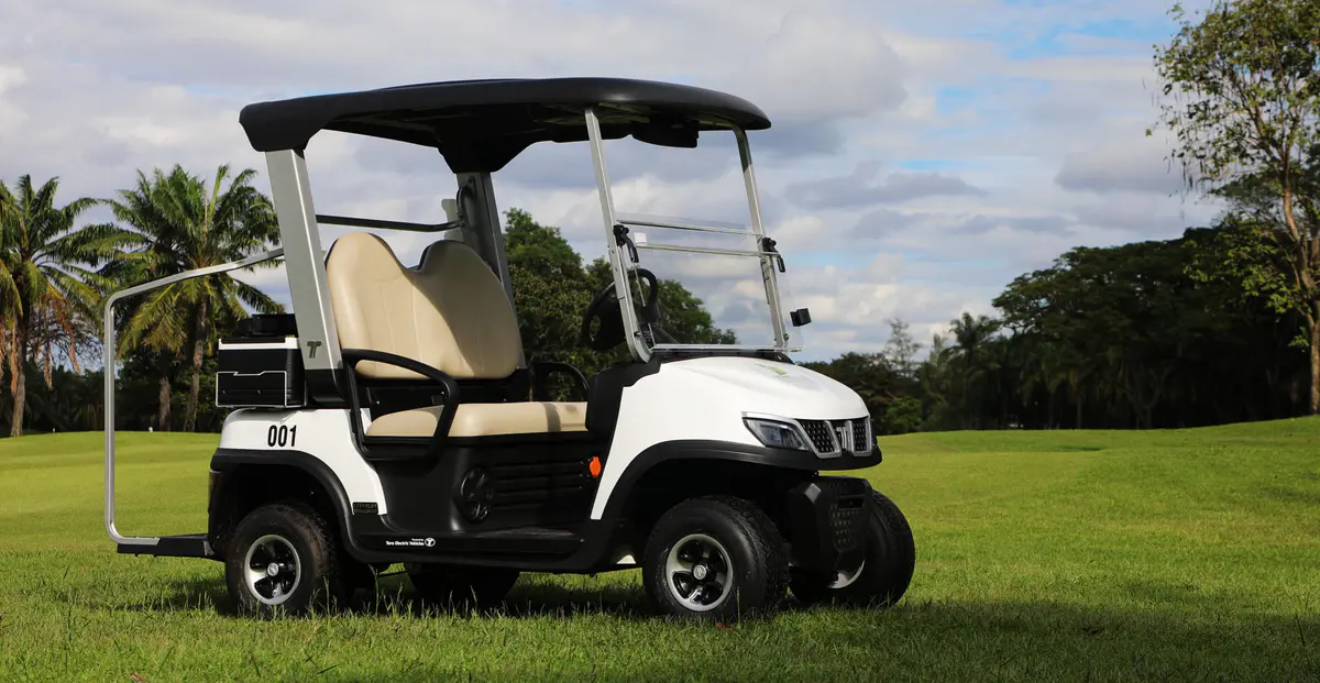TARA Golf Cart Dealership Fleet Ready for Delivery