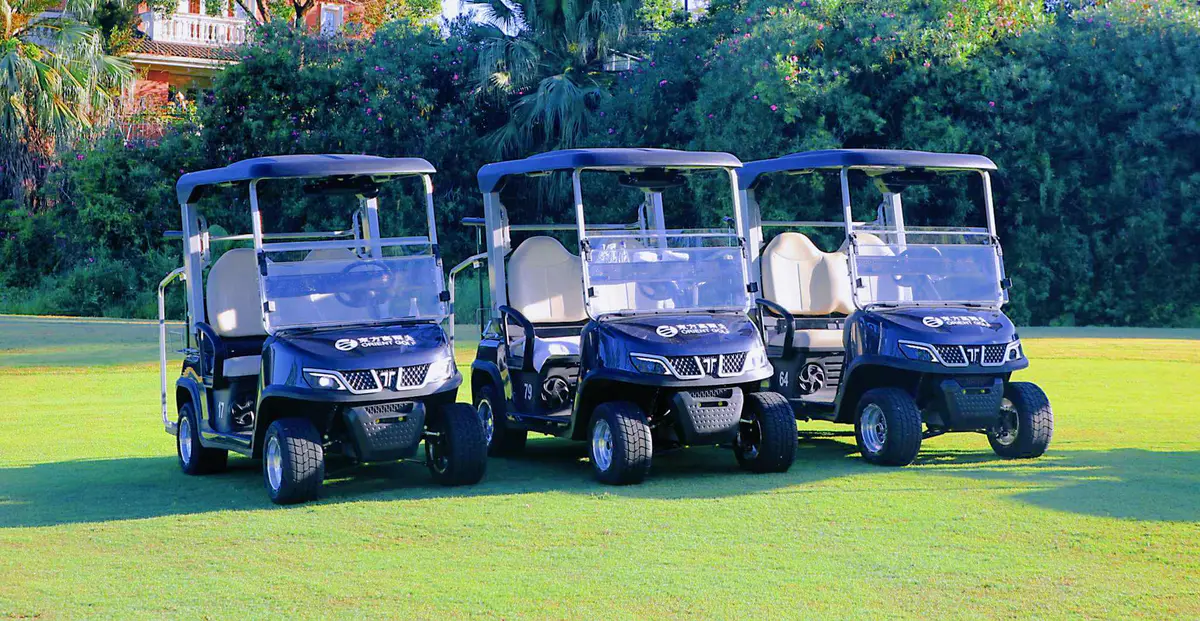 TARA Golf Cart Dealership Fleet for Rental Business