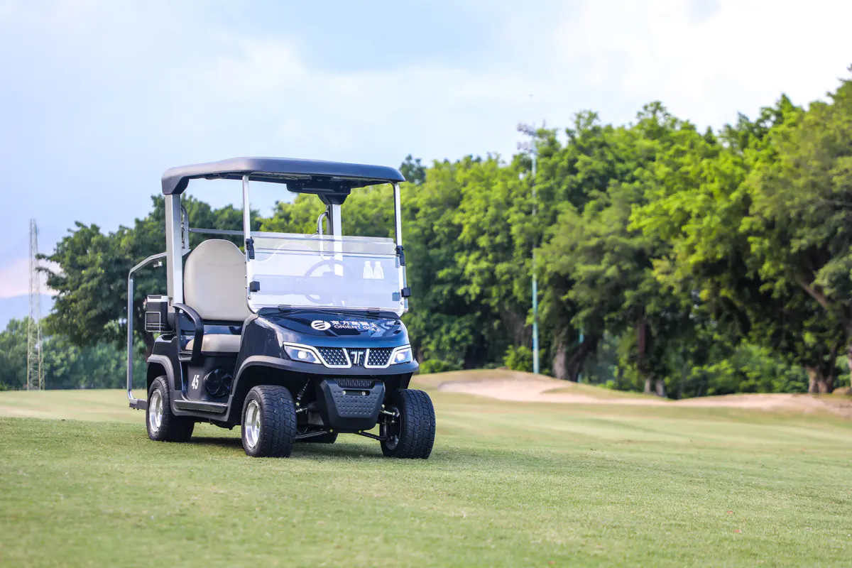 Custom-built TARA electric golf cart for a client project