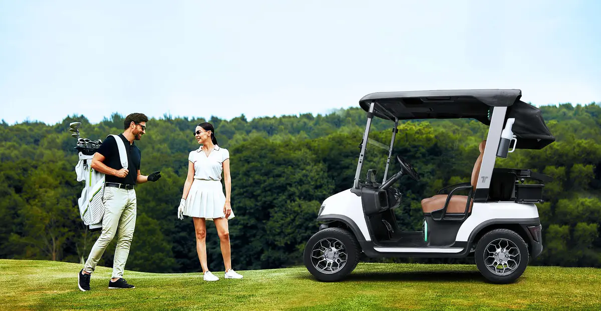 Cost of new golf cart TARA