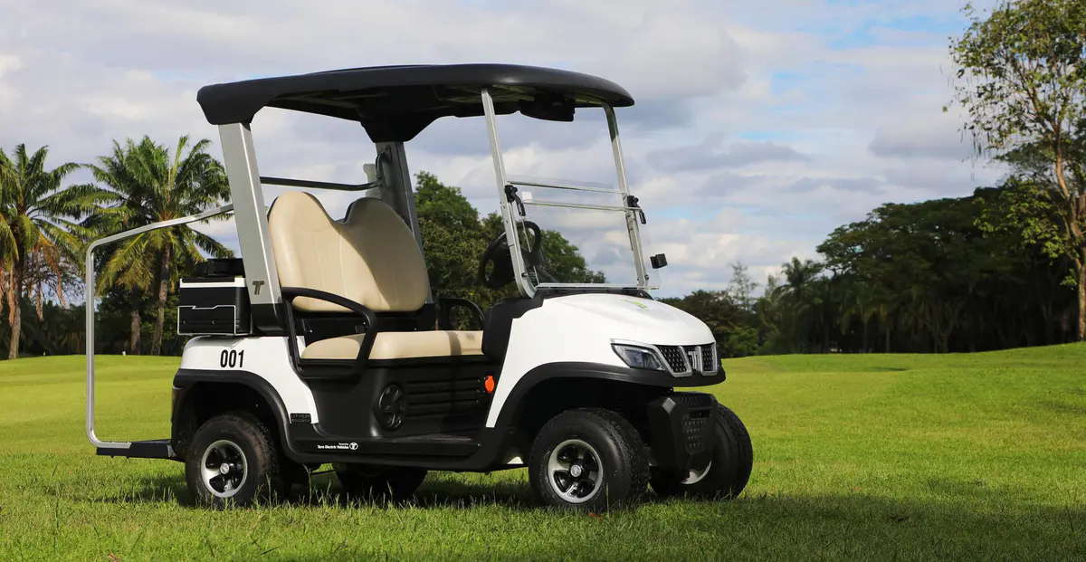 TARA lithium golf cart with roof