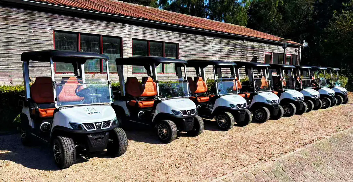 Electric golf cart manufacturer commercial fleet