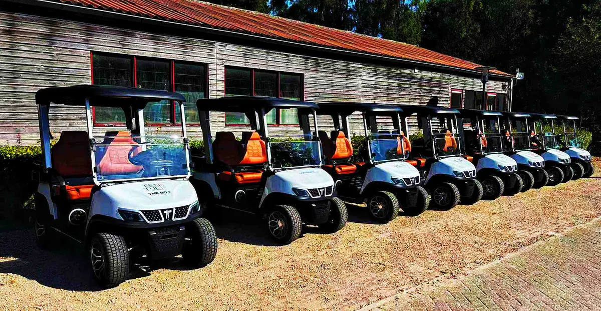 Gas powered golf cart battery guide
