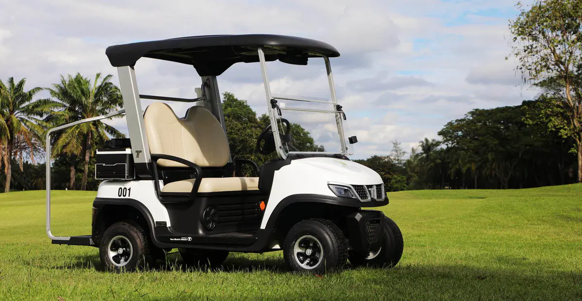 Buggy manufacturers