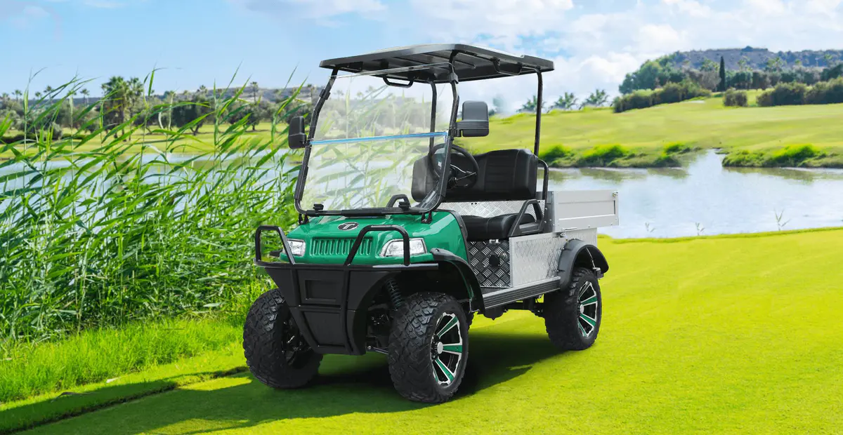 Electric UTV for Sale by TARA Golf Cart Dealership