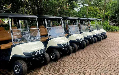 When Should a Course Replace Its Cart Fleet?