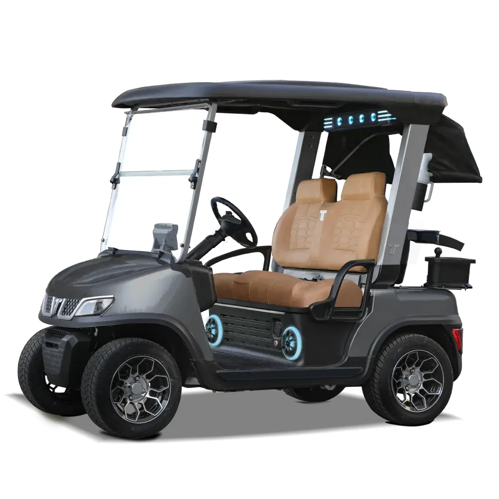 Gray Tara Spirit Plus Golf Cart with Modern Styling and Lithium Power