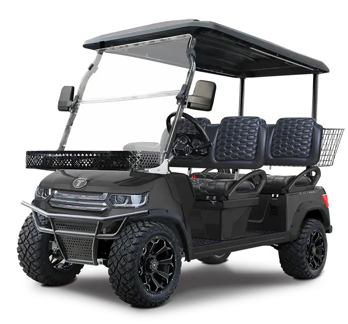 TARA Lander 4 electric golf cart in Arctic Gray