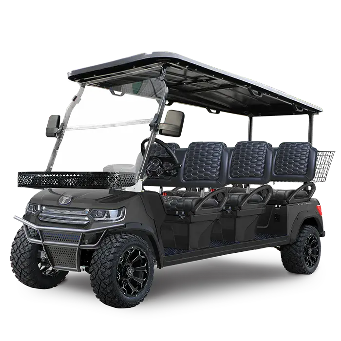 TARA Lander 6 electric golf cart in Arctic Gray