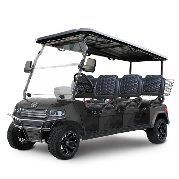TARA Horizon 6 electric golf cart in Arctic Gray