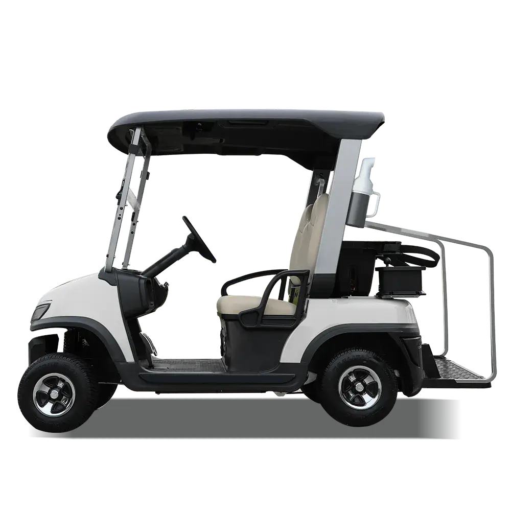TARA Harmony 2-passenger electric golf cart